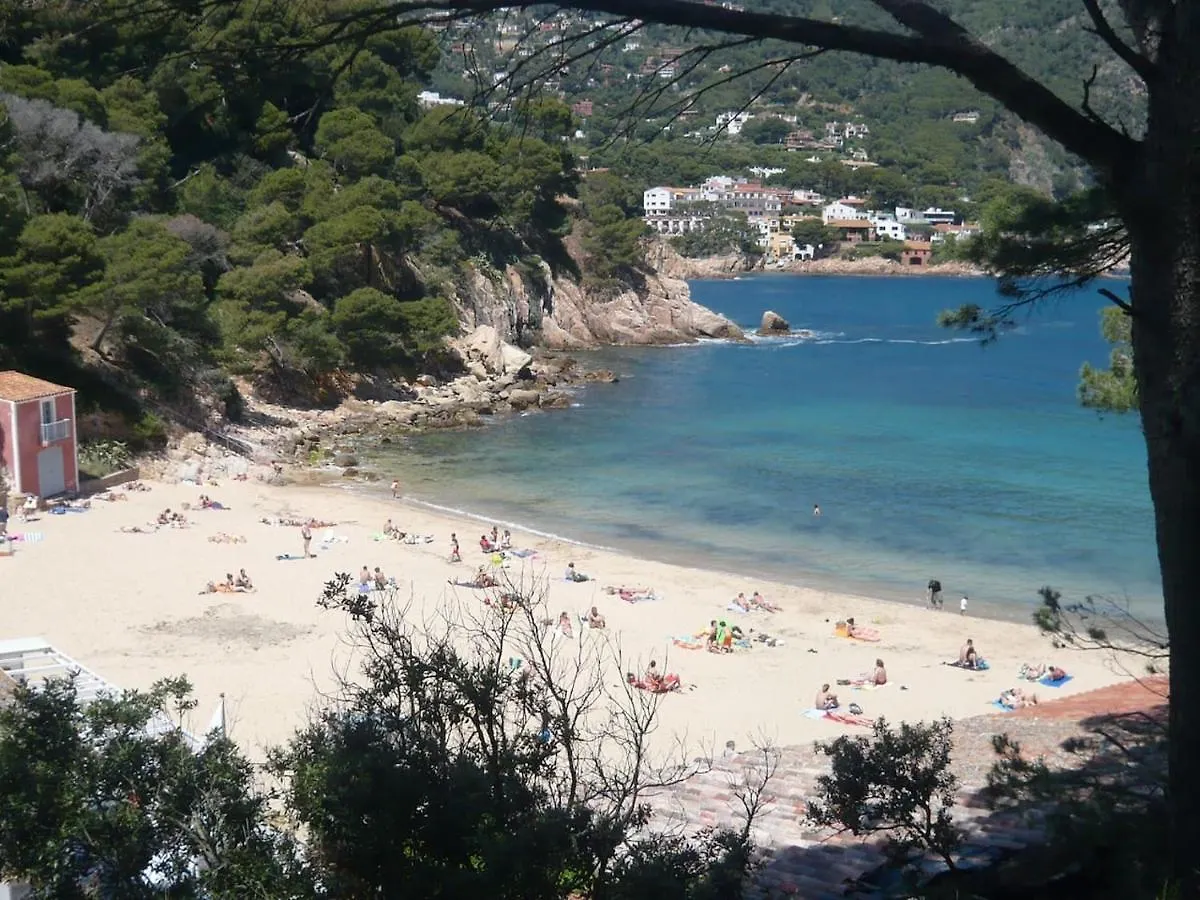 Bravaholidays-220-Kristel-7 Бланес 0*,  Испания